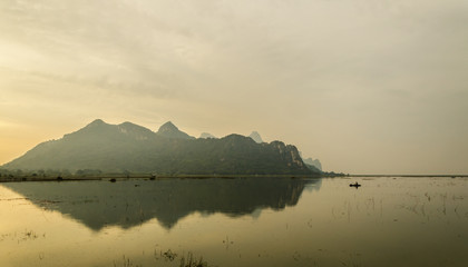 生僻唯美的花名大全