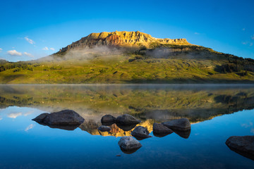 生僻唯美的花名大全