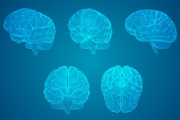 生僻唯美的花名大全