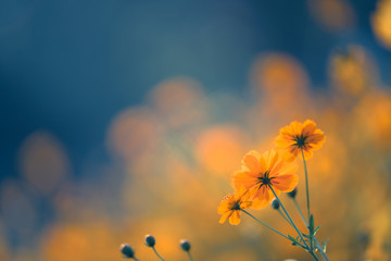 急救常识有哪些呢？