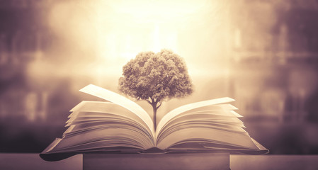 字谜.接音的古诗 歇后语 对联 笑话.和汉字的历史