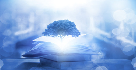 谁能帮我找到关于四年级下简便运算的300道题