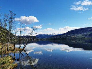 全国科技活动周低碳科普知识竞赛题(小学组)