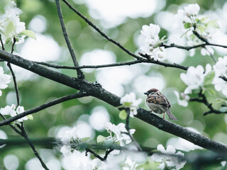 急救常识有哪些呢？