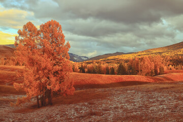 全国科技活动周低碳科普知识竞赛题(小学组)