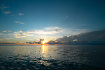 跟花有关的英文名