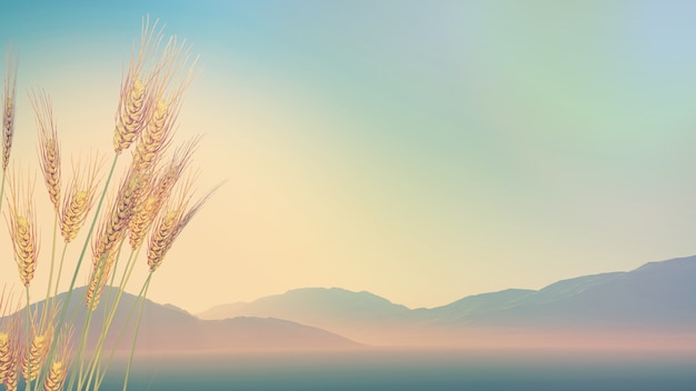 六年级的数学计算题