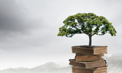 跟花有关的英文名