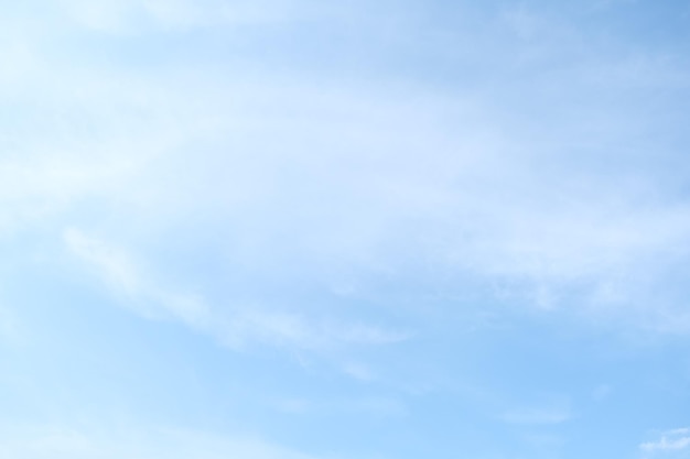 跟花有关的英文名