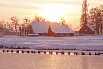 幼儿园体育教育活动设计教案